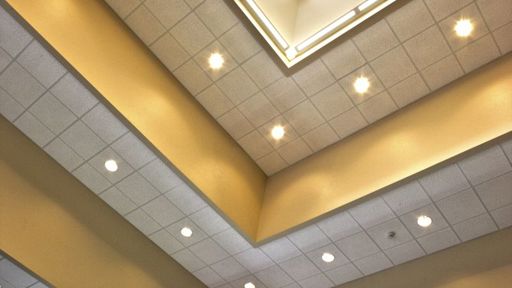 NEW Zoo - Mayan Exterior Ceiling
