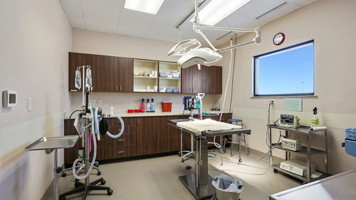 Surgery Room