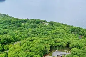 Aerial view of trees and lake Michigan