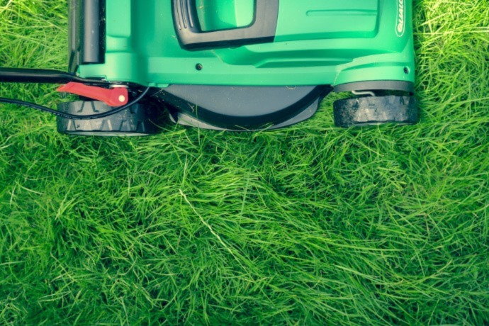 lawn mower on the lawn 