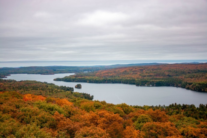 river surrounded by fall colored trees and bushes