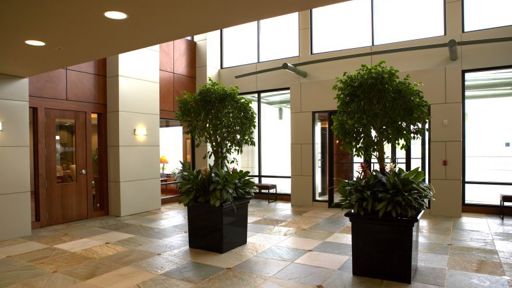East Shore Solutions Foyer