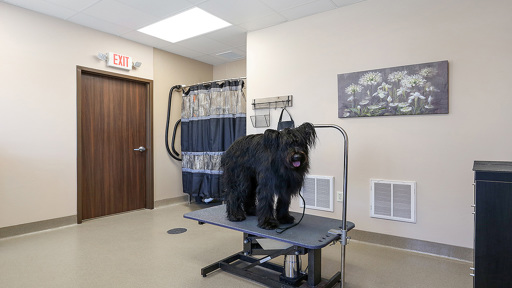 A Spa for Paws - Grooming