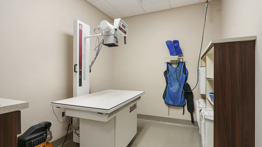 X-ray Room