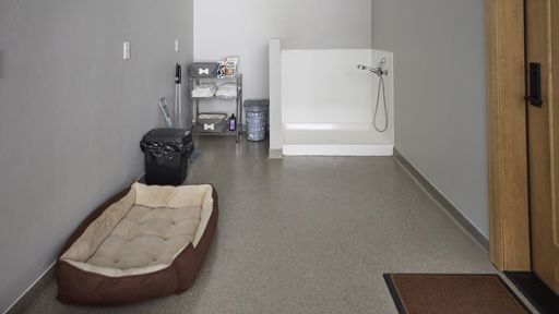Dog Washing Station