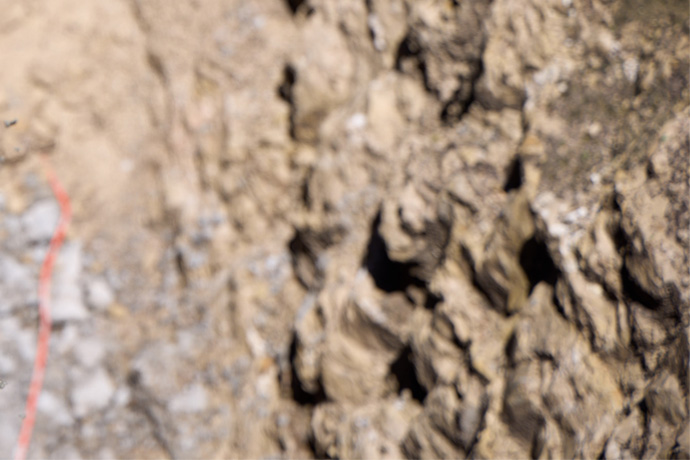 A picture of soil 