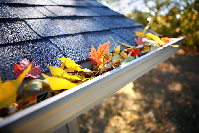 gutters with fall leaves on it