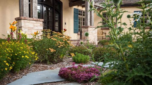 Front Garden