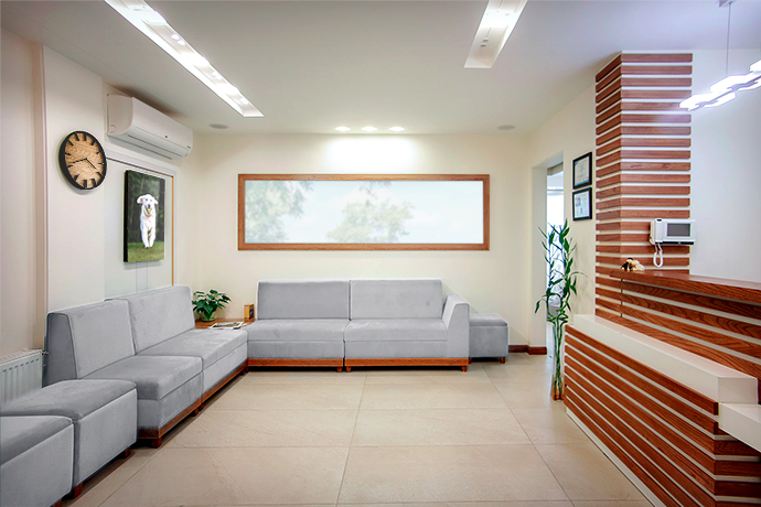 veterinary clinic lobby with soft lights, teal couches