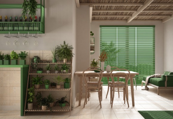 spacious house with lots of plants and wooden furniture, big windows