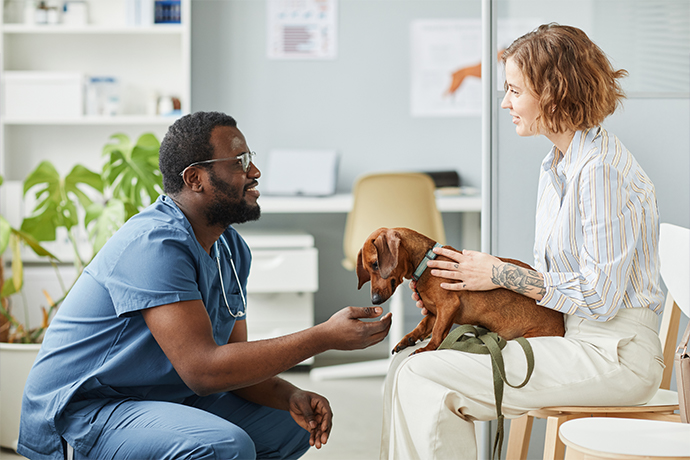 a vet doctor talking to a client who has a dog on her lap at the veterinary doctor