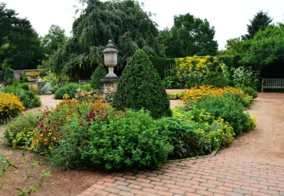 backyard with lots of bushes and gardens
