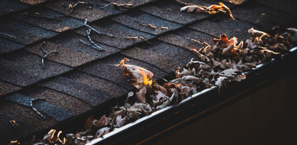 dried leaves on the gutters of the home 
